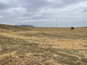 REF. N-84 Finca en Cerralba, Cartama.