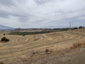 REF. N-84 Finca en Cerralba, Cartama.