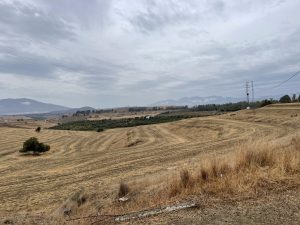 REF. N-84 Finca en Cerralba, Cartama.