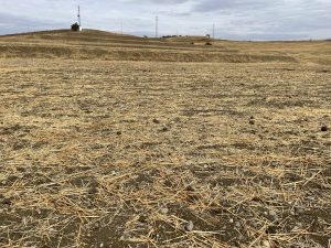 REF. N-84 Finca en Cerralba, Cartama.