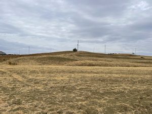 REF. N-84 Finca en Cerralba, Cartama.