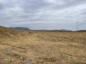 REF. N-84 Finca en Cerralba, Cartama.