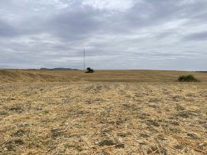 REF. N-84 Finca en Cerralba, Cartama.