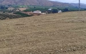 Se vende finca rústica con escritura propia, situada a 300m de la carretera Alhaurín de la Torre – Alhaurín el Grande
