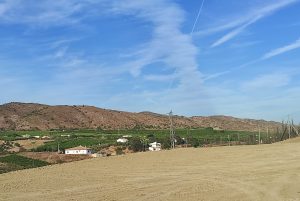 Se vende finca rústica con escritura propia, situada a 300m de la carretera Alhaurín de la Torre – Alhaurín el Grande