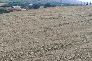 Se vende finca rústica con escritura propia, situada a 300m de la carretera Alhaurín de la Torre – Alhaurín el Grande