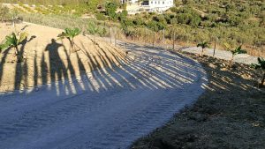 Se vende finca rústica con escritura propia, situada a 300m de la carretera Alhaurín de la Torre – Alhaurín el Grande